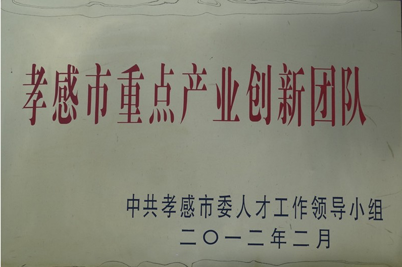 孝感市重點產(chǎn)業(yè)創(chuàng)新團隊獎